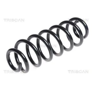 Triscan Feder hinten Audi A3 VW Passat