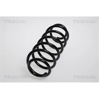 Triscan Feder hinten Mitsubishi Colt