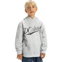 DC Shoes Hoodie Substitute