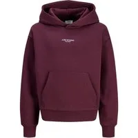 JJXX Sweatshirt Jxstudio Vesterbro Hood Swt Grl
