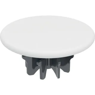 Geberit Ersatzteile Ventilabdeckung für Ablaufventil mit freiem Auslauf:, 244958011 244958011