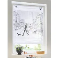 Rollo Raffrollo, heine, transparent, Ösen mit Fensterhaken
