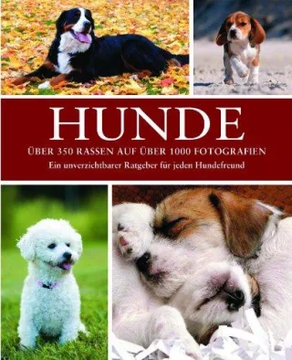 Hunde: Rassen Pflege Geschichte [Gebundene Ausgabe] [2012] Parragon