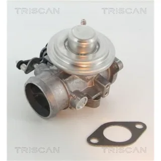 Triscan AGR-Ventil Seat Cordoba Ibiza Skoda Fabia Octavia VW Polo 1,9