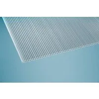 Starhome Doppelstegplatte Polycarbonat Stegplatten klar 10 mm