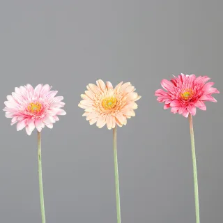Kunstblume Gerbera