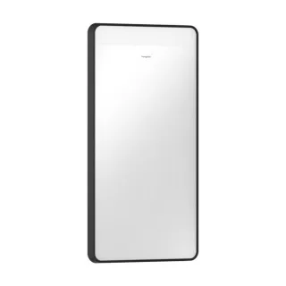 hansgrohe Xarita Lite Q Spiegel 54955670 mit horizontaler LED-Beleuchtung, mattschwarz, B 360 x H 700 x T 30 mm, 4 W