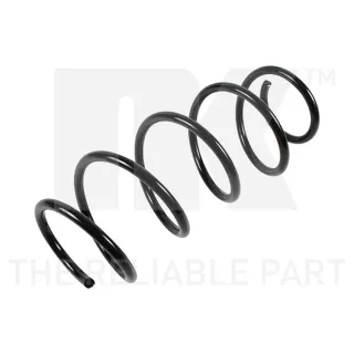 NK Feder vorne VW Fox Polo 5347174