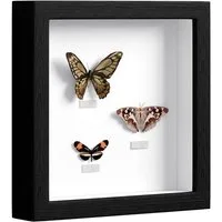 EUGAD Bilderrahmen, (1 St), 3D Fotorahmen, Objektrahmen quadratisch aus MDF