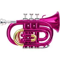 Classic Cantabile Trompete TT-400 Taschentrompete Bb, inkl. Koffer & Mundstück, Trompete im Taschenformat, Schallbecher: 93 mm