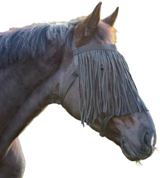 Variante