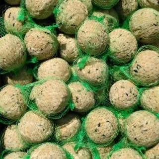 KLASEBO Meisenknödel Premium mit Insekten 200 x ca. 90 Gramm mit Netz, Futter für Wildvögel, Fettfutter Vögel
