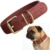 lionelo Tier-Halsband REXOR für Hunde und Katzen, Rindsleder/Kupferbeschläge/verstellbar/hautfreundlich