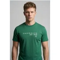 Calvin Klein Jeans T-Shirt GRAPHIC TEE Regular fit mit Rundhalsausschnitt