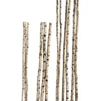 iWerk Dekofigur Birkenstamm 90 cm ø 4-6 cm