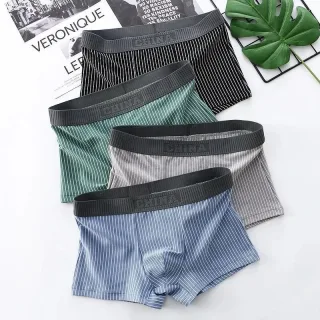 4 Pcs Men's Underwear Fashion Striped Boxer Briefs Trend Pure Cotton Boxing Shorts Comfy Breathable Men Underwear Set Pl