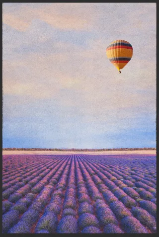 Fussmatte 10392 | Größe: 60 cm x 90 cm
