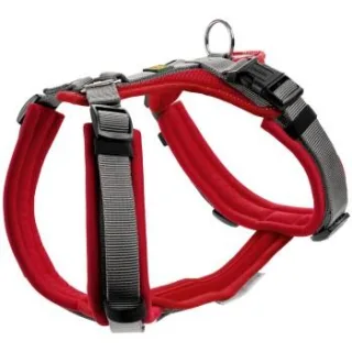 Hunter Geschirr Maldon Up rot XS-S