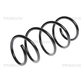 Triscan Feder vorne Renault Laguna 3