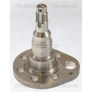 Triscan Radnabe Hinten Seat VW 853529015