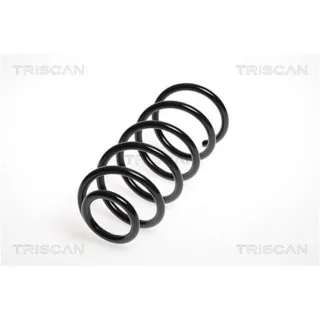 Triscan Feder hinten Smart Cabrio City-Coupe Fortwo
