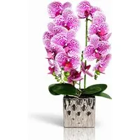Kunstorchidee PASCH® Orchidee künstlich wie echt in Hochglanz-Keramiktopf Orchidee, PASCH, Hochglanz Keramiktopf