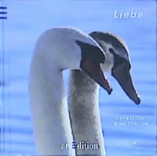 Liebe