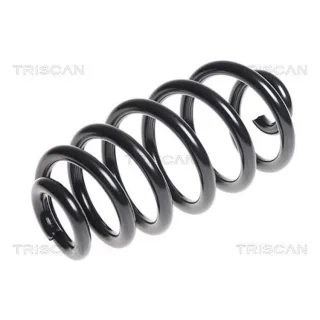 Triscan Feder hinten Seat Exeo 1,8