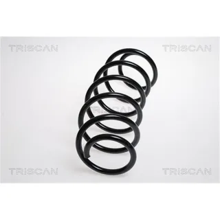 Triscan Feder vorne Peugeot 207 207/207+ 875028106