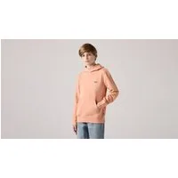 Levi's® Kids Hoodie LVB MINI BATWING PULL OVER HOO for BOYS