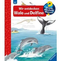 Wieso? Weshalb? Warum? Band 41 - Wir entdecken Wale und Delfine / Doris Rübel