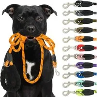 Reichstadt Hundeleine RS Pets Führleine Nylon 25RSP084, Nylon, Ergonomischer EVA-gepolsterter Griff für Blasenschutz