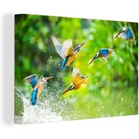 OneMillionCanvasses® Leinwandbild Vögel - Eisvogel - Tiere - Wasser, Fotodruck (1 St), Leinwand Bilder Klein, Wand Dekoration Aesthetic 30x20 cm