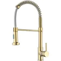 Faizee Möbel Küchenarmatur Armatur Chrom/Schwarz/Gold Spüle Spiralfederarmatur mit Brausekopf