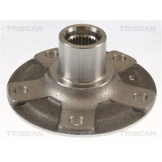 Triscan Radnabe Hinten BMW 3er F30