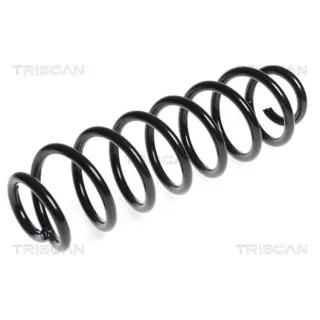 Triscan Feder hinten Skoda Yeti VW Golf