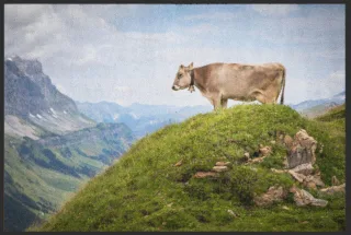 Fussmatte 6257 | Größe: 60 cm x 45 cm