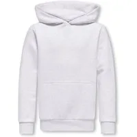 ONLY & SONS junior Kapuzensweatshirt OSJCERES (1-tlg., Geschenkidee)