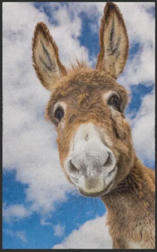 Fussmatte Esel 7081 | Größe: 60 cm x 90 cm