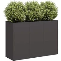 vidaXL Pflanzkübel 120 x 40 x 80 cm Pflanzkübel Blumenkübel Pflanzcontainer Pflanzgefäße