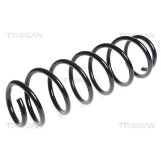 Triscan Feder vorne Citroen C5