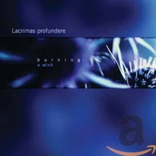 Burning: a Wish