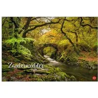 HEYE Wandkalender Zauberwälder Edition Kalender 2027