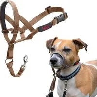 HALTI Hunde-Erziehungsgeschirr Kopfgeschirr/Headcollar sand