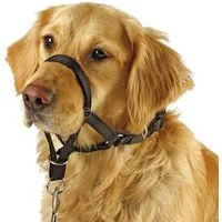 Kerbl Hunde-Erziehungsgeschirr Trainings- und Erziehungsgeschirr Maxi Coach 38 cm 83315