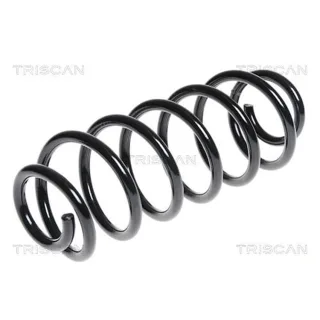 Triscan Feder hinten Ford Fiesta 6 1,6