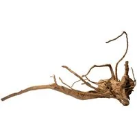 DENNERLE Aquariendeko Spiderwood, Natürliches Wurzelholz, Für Aquarium und Terrarium