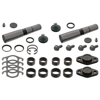 Febi Reparatursatz Achsschenkel 18418