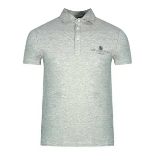 Aquascutum Unisex Erwachsenen London Bold Logo Polo-Shirt (Grau)