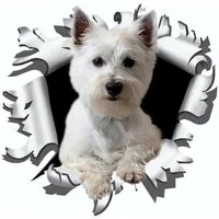 Hermann Schütz Aufkleber Aufkleber Einschussloch 90 mm Motiv Hund Westi